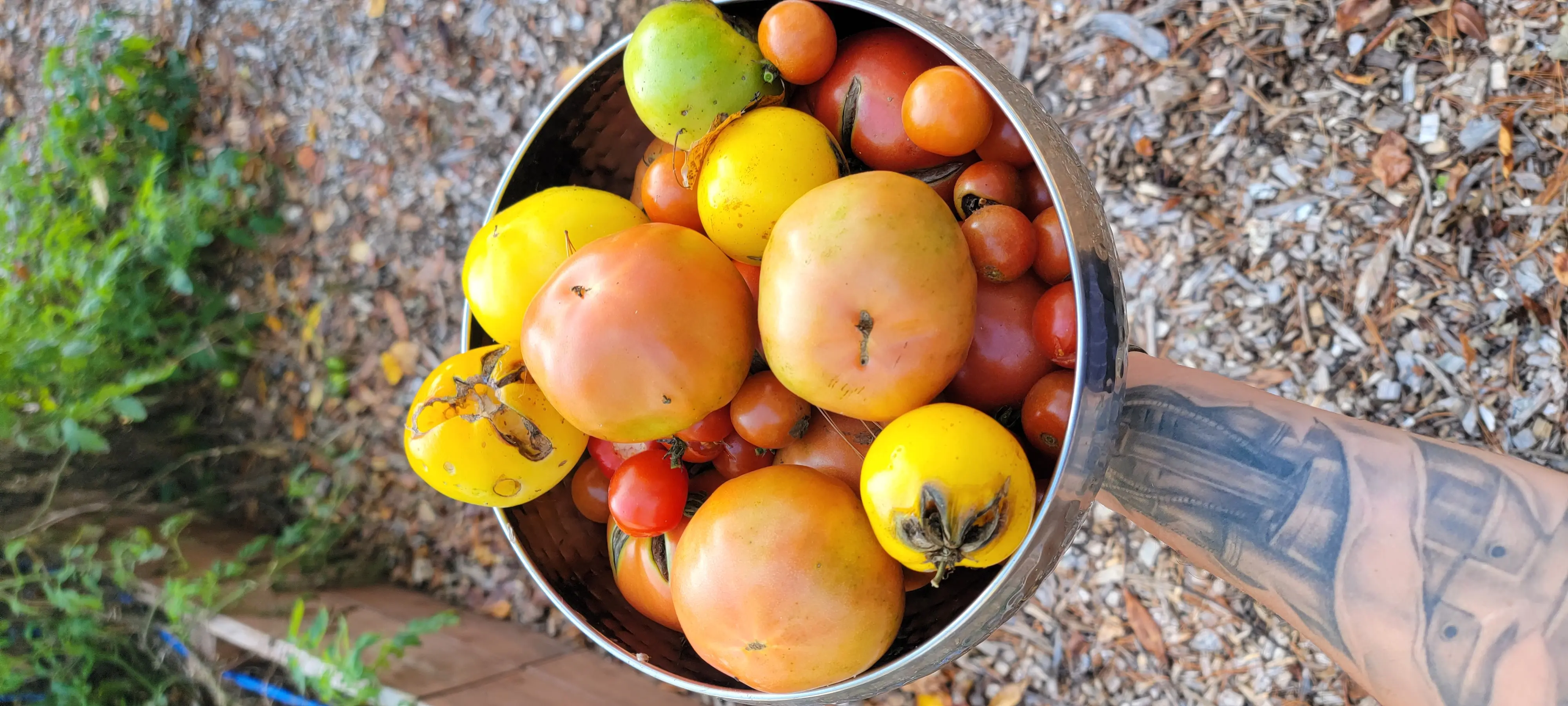 Image Produce and Cooking/20221110_124920.webp